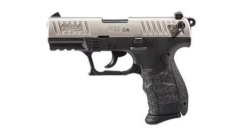 P22 3.42" Nickel 10RD 22LR California 0